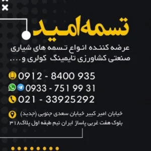 ایران تسمه