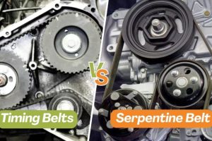 timing belts vs serpentine belt
